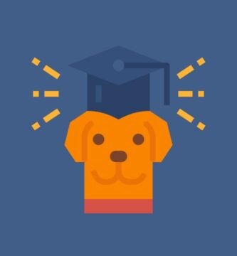 Ejemplo de curriculum ▷ Entrenador de perros