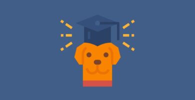 Ejemplo de curriculum ▷ Entrenador de perros