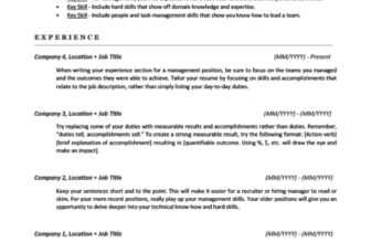 plantilla de curriculum compatible con ATS
