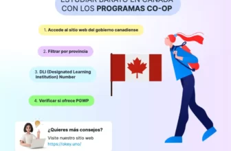 LOS PROGRAMAS CO-OP