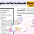7 Ejemplos de currículum de Esteticista: Plantillas + Descarga